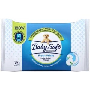 Baby Soft Fresh White Toilet Tissue Wipes  (Pack of 12 x 42 Wipes per Pack)