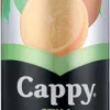 Cappy Still Orange Mango 100% Fruit Juice Blend (24 x 330 ml) | Shop Online - Image 3