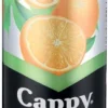 Cappy Still Orange 100% Fruit Juice Blend (24 x 330 ml) | Shop Online - Image 2