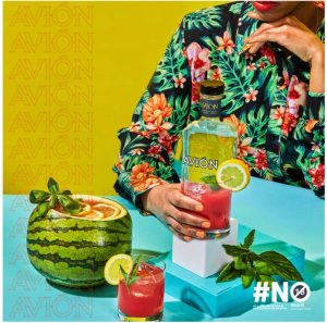 Avion Blanco (Silver) Tequila  (750 ml) | Shop Online