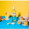 Stretton's London Dry Gin  (Pack of 12 x 750 ml) | Shop Online - Image 6