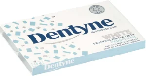 Dentyne Sugarfree Peppermint Chewing Gum (14 g) | Shop Online