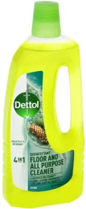 Dettol Disinfectant Floor & All Purpose Cleaner Pines (750 ml) | Shop Online